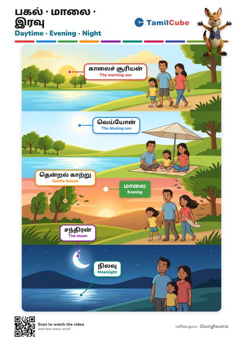 Tamil vocabulary poster: Daytime · Evening · Night