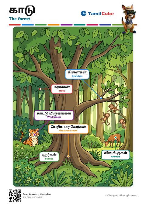 Tamil vocabulary poster: The forest