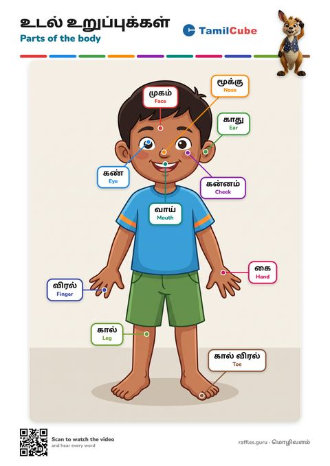 Tamil vocabulary poster: Parts of the body