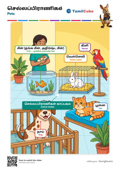 Tamil vocabulary poster: Pets